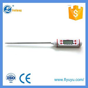 Digital liquid thermometer