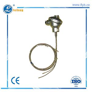 Multipoint sheathed thermocouple