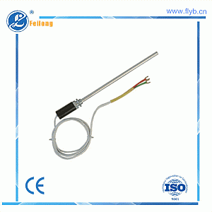 Sheathed thermocouple and platinum thermal resistance