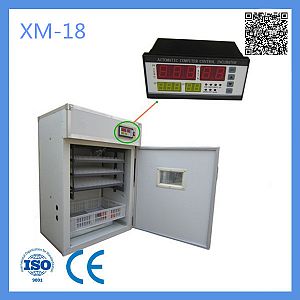 Eggs Chicken Incubator Digital Temperature Humidity Controller for Incubator